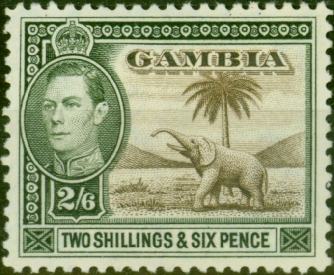 Rare Postage Stamp Gambia 1938 2s6d Sepia & Dull Green SG158 Fine MM
