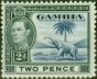 Old Postage Stamp Gambia 1938 2d Blue & Black SG153 Fine MM