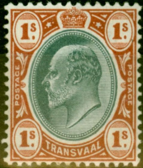 Rare Postage Stamp from Transvaal 1903 1s Grey-Black & Red-Brown SG256 Good Mtd Mint