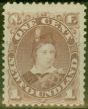 Collectible Postage Stamp from Newfoundland 1880 1c Red-Brown SG44b Fine Lightly Mtd Mint