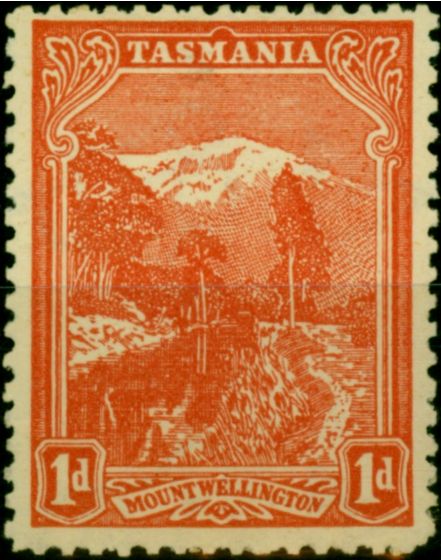 Rare Postage Stamp Tasmania 1902 1d Pale Red Wmk Sideways P.11 SG240a Fine MM
