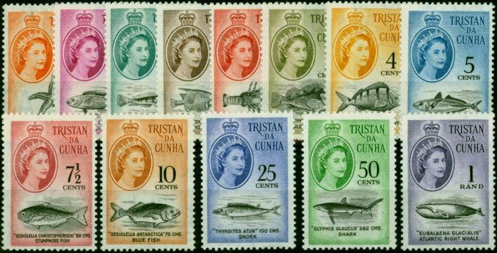 Tristan Da Cunha 1961 Marine Life Set of 13 SG42-54 V.F MNH . Queen Elizabeth II (1952-2022) Mint Stamps