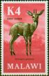 Rare Postage Stamp from Malawi 1971 K4 Common Duiker SG387 Fine MNH