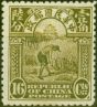 Collectible Postage Stamp from China 1913 16c Olive SG279 Fine Mtd Mint