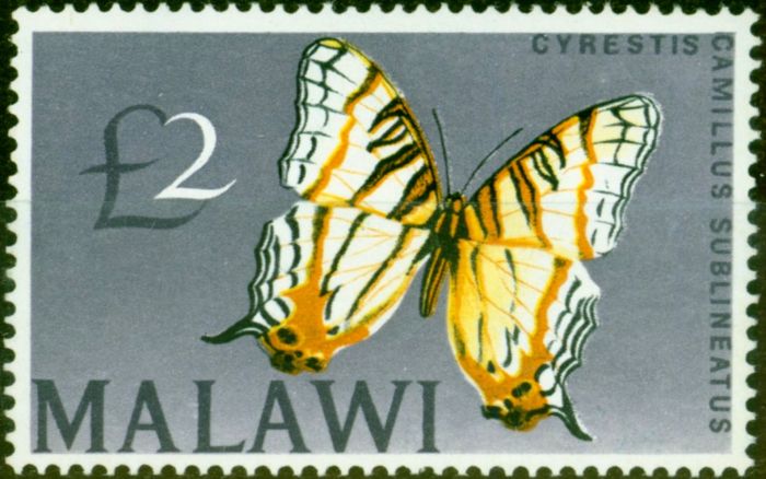 Collectible Postage Stamp from Malawi 1966 £2 Butterfly SG262 Very Fine MNH