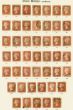 Valuable Postage Stamp GB 1884 1d Rose-Red SG43 Complete Set of 151 Plates 71-225 Fine Used on Pages