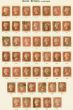 Old Postage Stamp GB 1884 1d Rose-Red SG43 Complete Set of 151 Plates 71-225 Fine Used on Pages