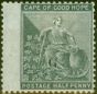 Rare Postage Stamp from Griqualand West 1879 1/2d Grey-Black SG24 Fine Mtd Mint