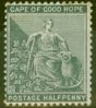 Rare Postage Stamp from Cape of Good Hope 1882 1/2d Grey-Black SG40a Good Mtd Mint