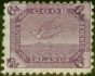 Collectible Postage Stamp Cook Islands 1900 6d Bright Purple SG18a Fine VLMM