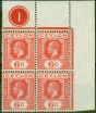 Rare Postage Stamp from Ceylon 1919 6c Pale Scarlet SG305 (A) Large C V.F MNH Plate Corner Block of 4