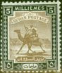 Old Postage Stamp from Sudan 1948 5m Olive & Brown & Black SG100 Fine MNH (2)