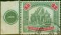 Rare Postage Stamp from Fed Malay States 1907 $2 Green & Carmine SG49 V.F.U Pl 1 Marginal