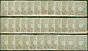 Valuable Postage Stamp from Japan Post Offices in China 1900 1/2sen Chrysanthemum Fine MNH x 35 Examples