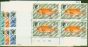 Old Postage Stamp from Ascension 1970 Fish 3rd Series set of 4 SG126-129w in Superb MNH Corner Blocks of 4