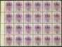 Rare Postage Stamp from O.F.S 1900 1d on 1d Purple SG113, 113a & 113b Fine MNH Block of 24