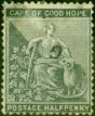 Rare Postage Stamp from Griqualand West 1878 1/2d Grey-Black SG15da Black Opt Inverted Good Mtd Mint
