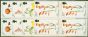 Collectible Postage Stamp from Pitcairn Islands 1970 Flowers set of 4 SG107-110 Superb MNH Blocks of 4