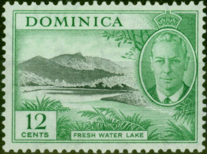 Collectible Postage Stamp Dominica 1951 12c Black & Brt Green SG128a 'C of CA Missing from Wmk' V.F VLMM Scarce