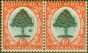 Rare Postage Stamp from South Africa 1937 6d Green & Vermilion SG61b Molehill Flaw V.F Lightly Mtd Mint