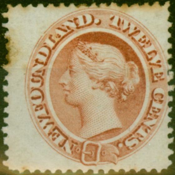 Old Postage Stamp Newfoundland 1870 12c Chestnut SG33 Good MM