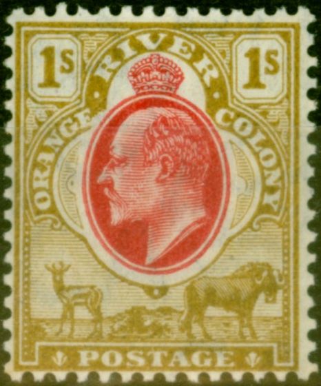 Rare Postage Stamp from Orange Free State 1909 1s Scarlet & Bistre SG151 Very Fine MNH
