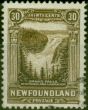 Rare Postage Stamp Newfoundland 1931 30c Sepia SG208 Fine Used
