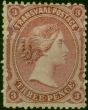 Rare Postage Stamp Transvaal 1878 3d Claret SG135a Good MM