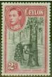 Old Postage Stamp from Ceylon 1938 2c Black & Carmine SG386a P.13.5 x 13 Fine LIghtly Mtd Mint